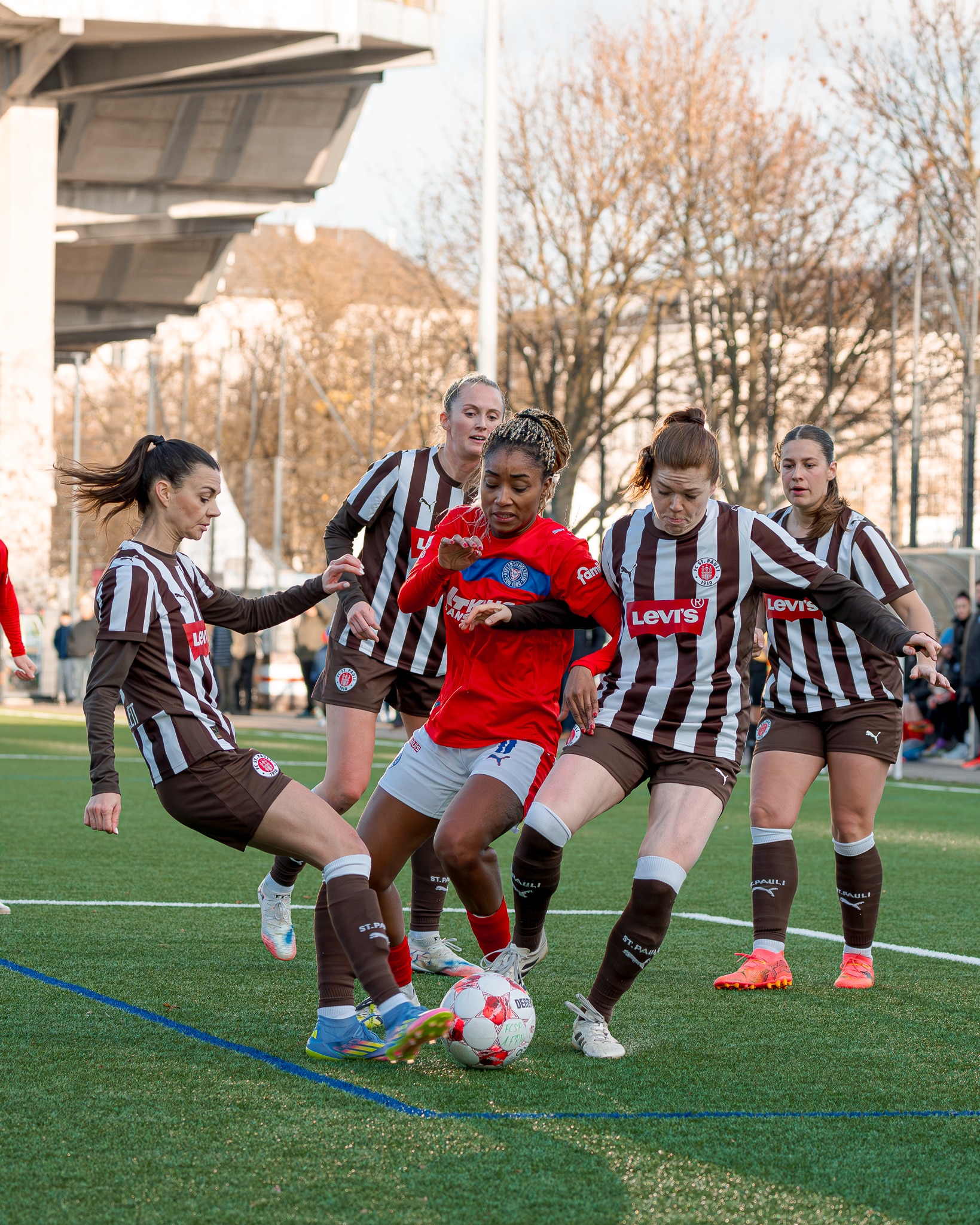 Holstein Women - Ende -3