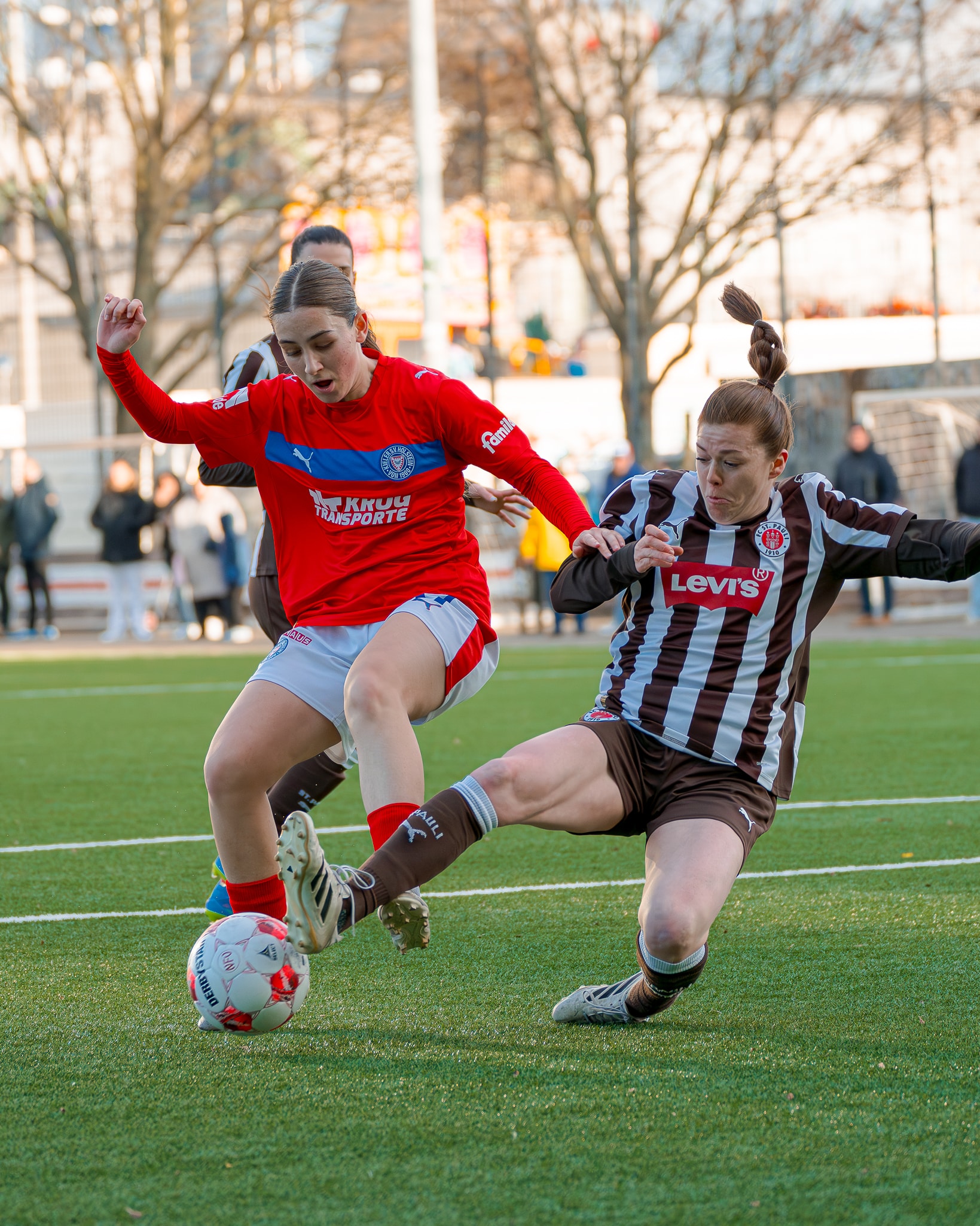 Holstein Women - Pause -4