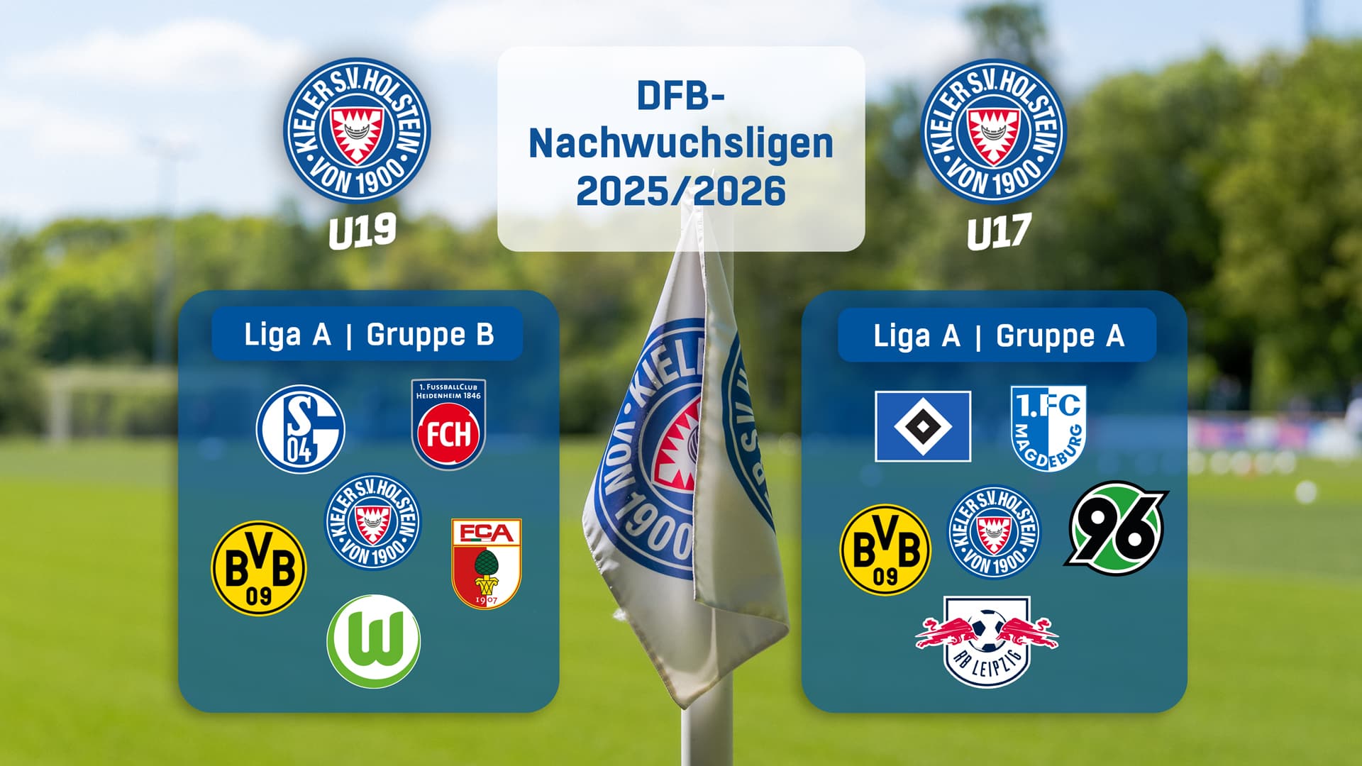 Große Jungstörche-Freude über Gruppeneinteilung in Liga A