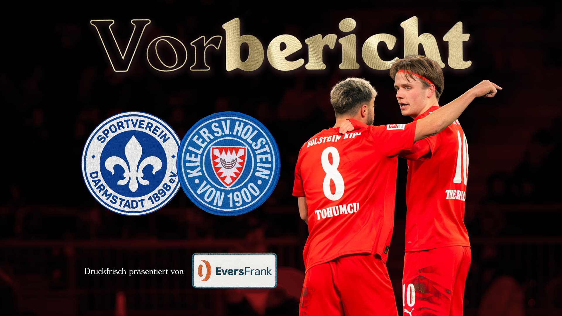 Festung Böllenfalltor: Störche zu Gast in Darmstadt