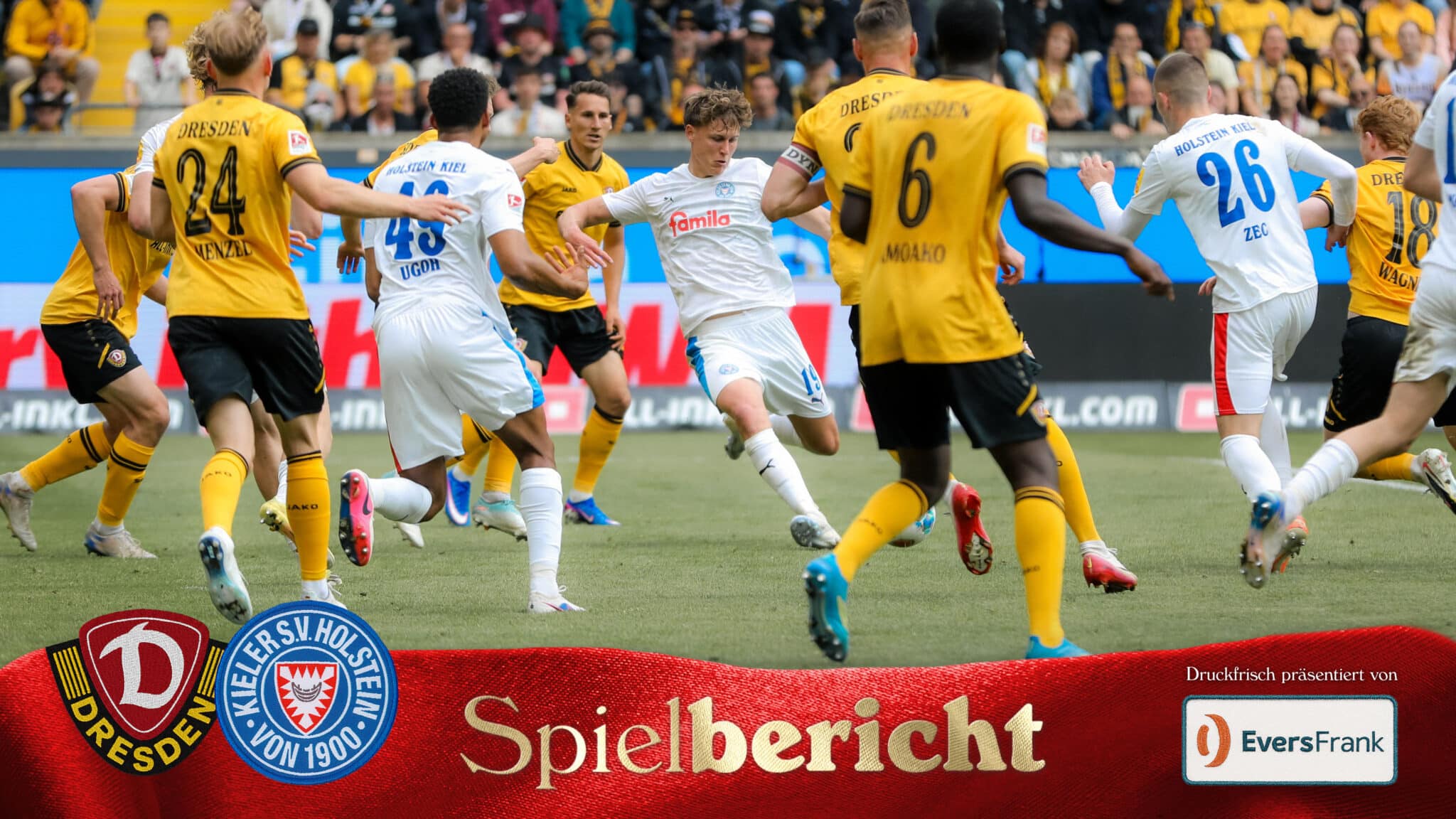 Bild zum Artikel: Störche unterliegen Dresden zum Saisonabschluss