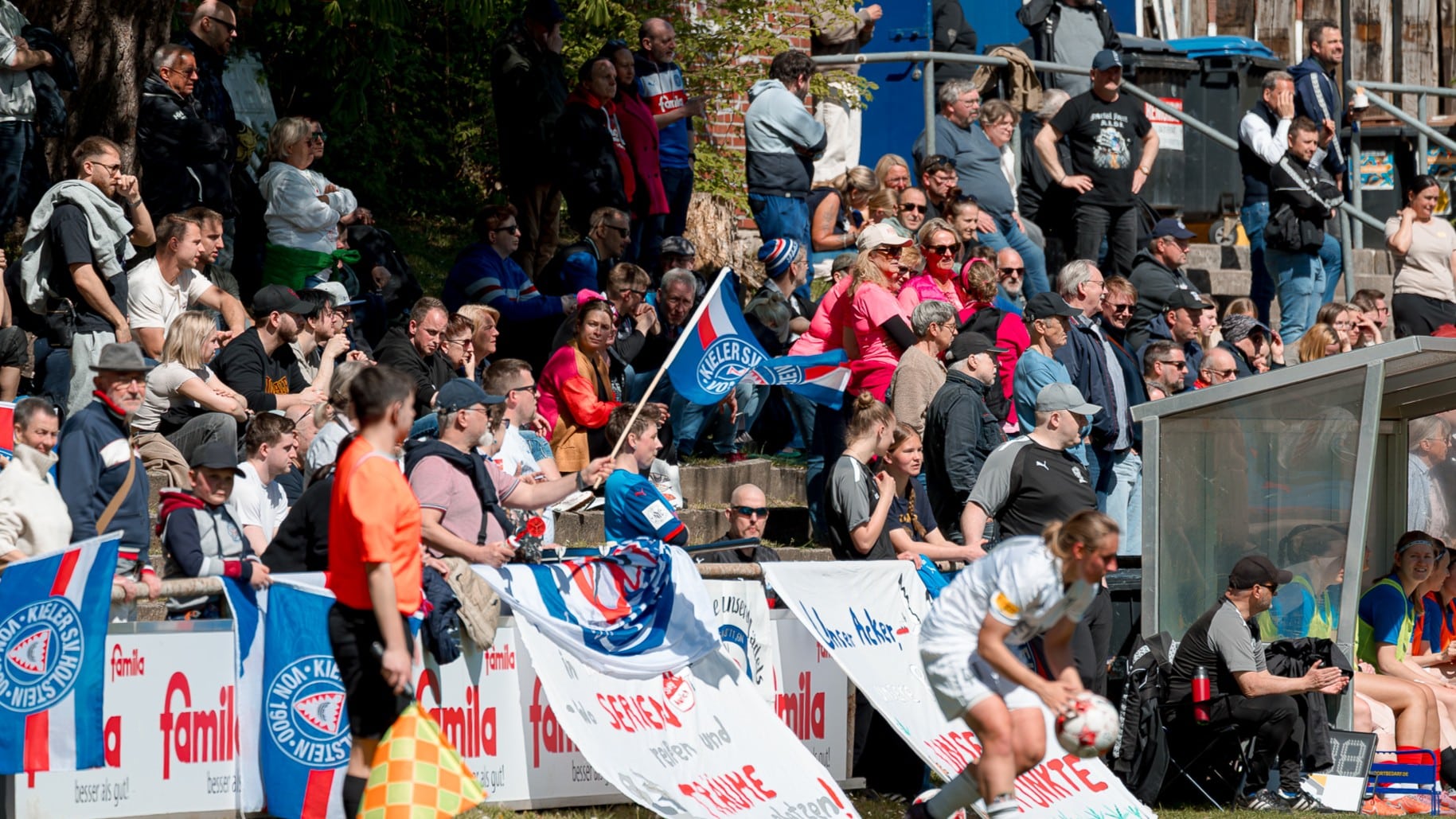 Bild zum Artikel: Faninfos zum Women-Aufstiegsspiel auf der Waldwiese   
