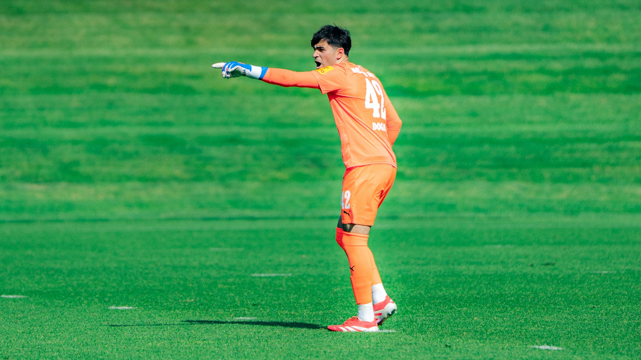 Bild zum Artikel: Tyler Dogan wechselt zum TSV Steinbach Haiger 