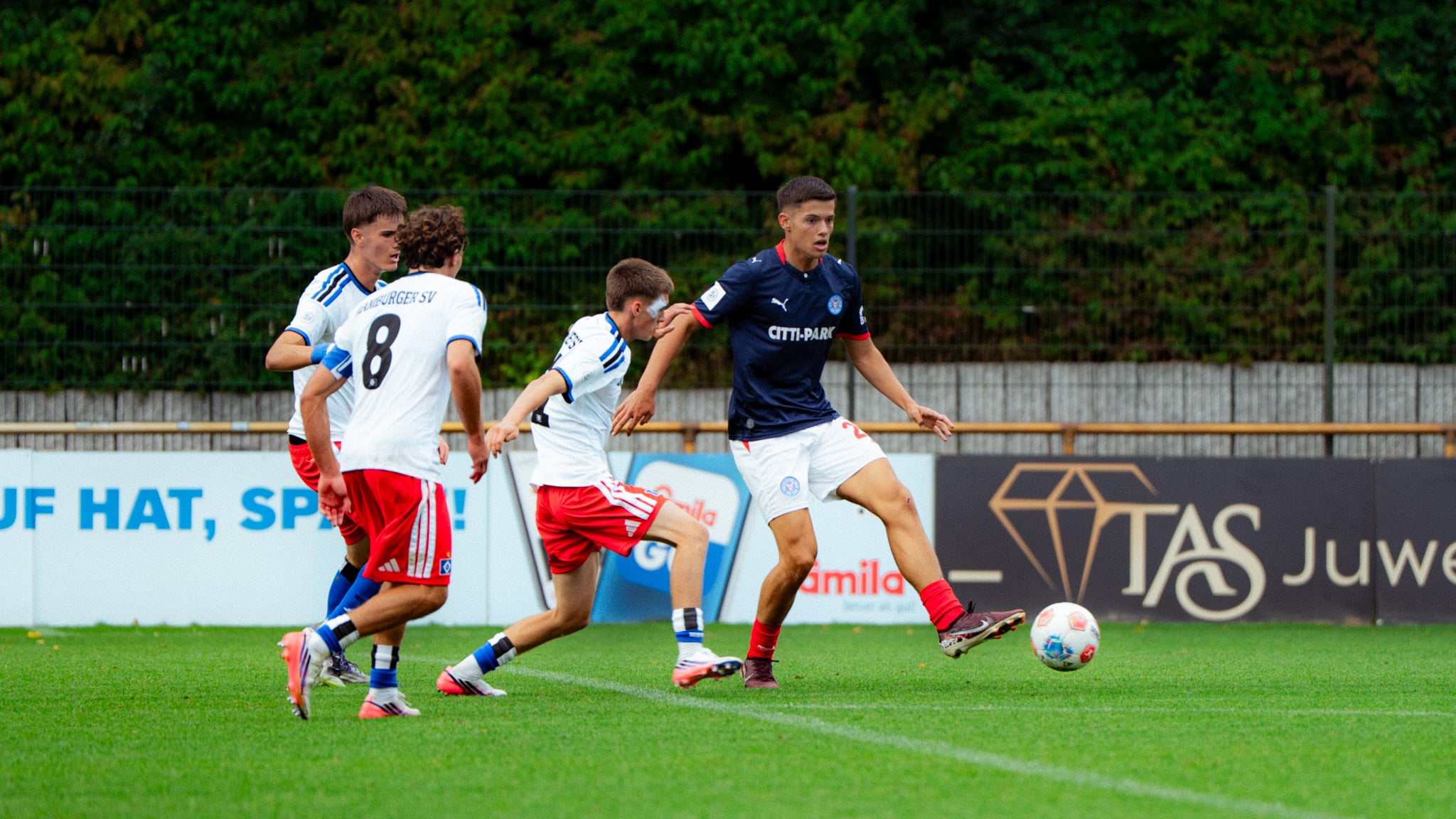 Bild zum Artikel: U19 unterliegt dem HSV knapp