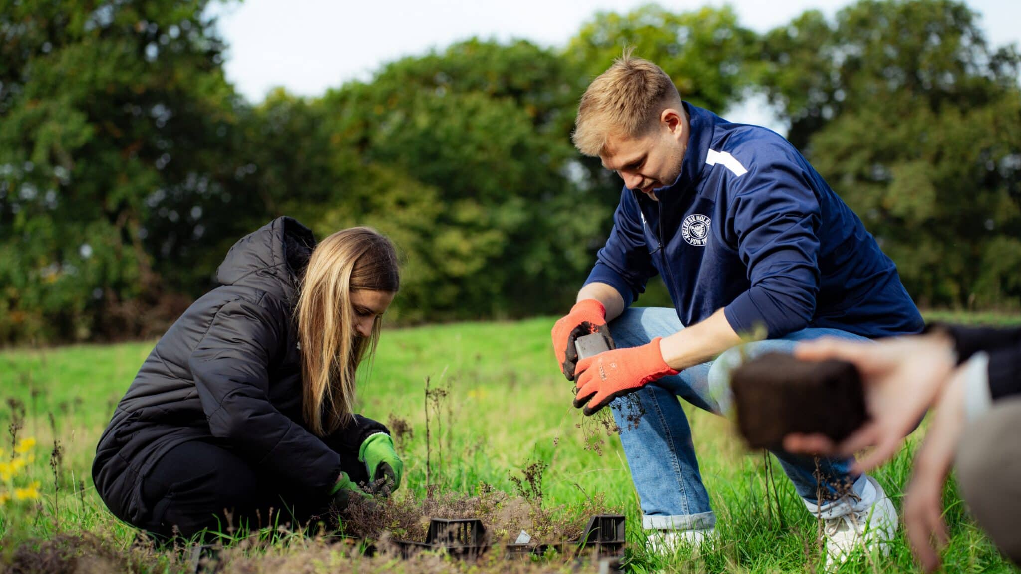 Bild zum Artikel: Spende an die Stiftung Naturschutz Schleswig-Holstein: KSV pflanzt dank Holstein-Honig heimische Wildpflanzen