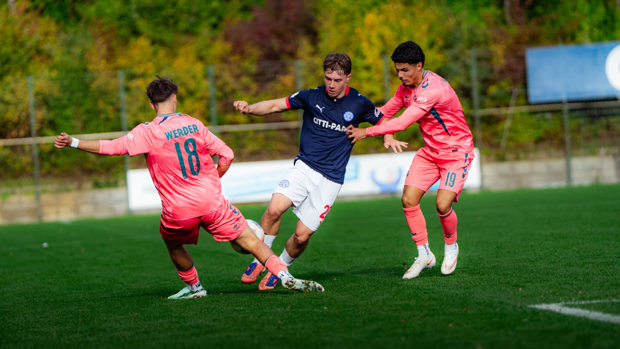 Bild zum Artikel: U19-Aufholjagd wird gekontert | U15 übernimmt Tabellenführung