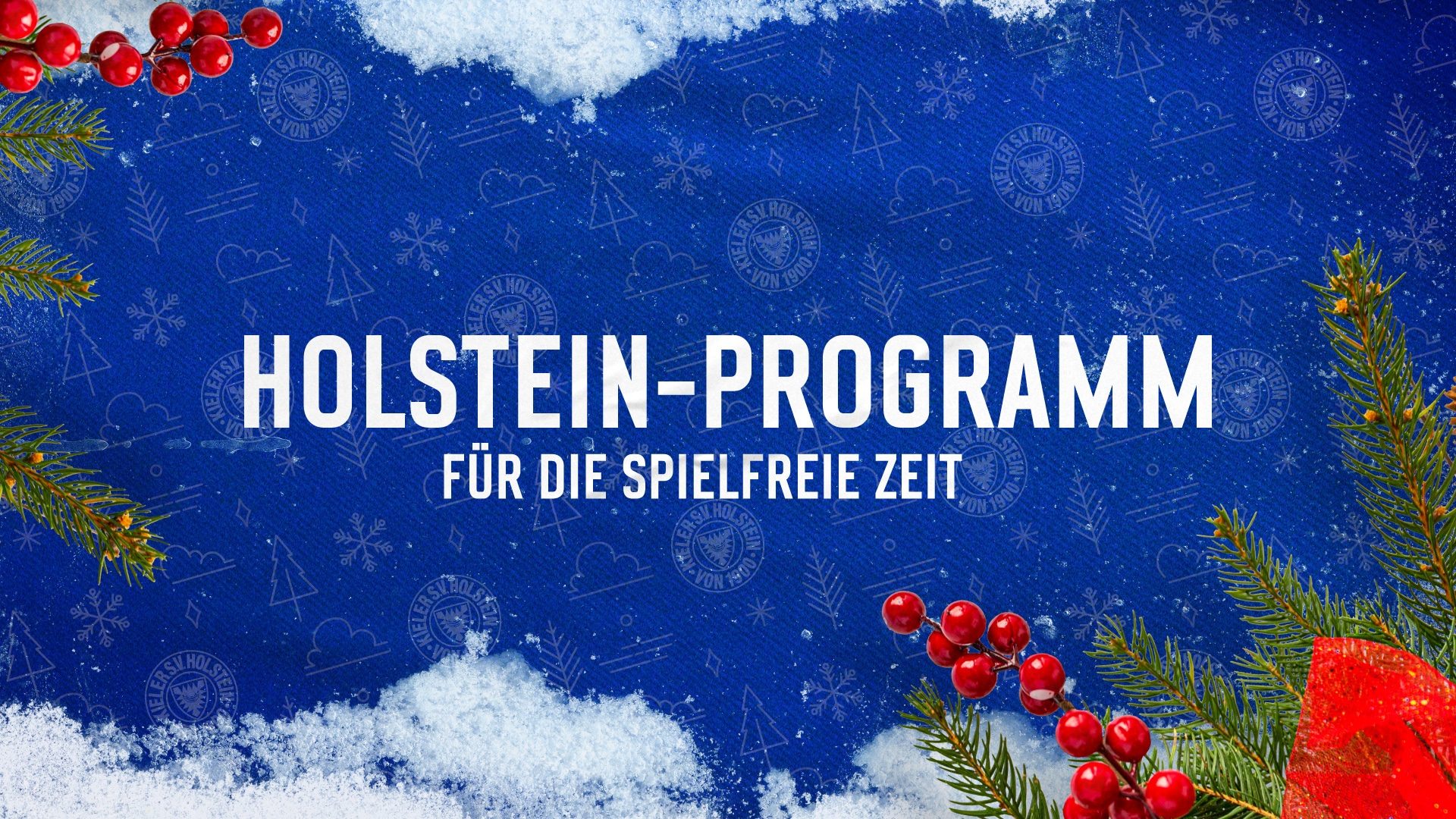 Holstein_WM-Programm_16-9