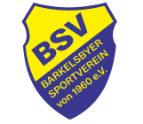 Logo-BSV