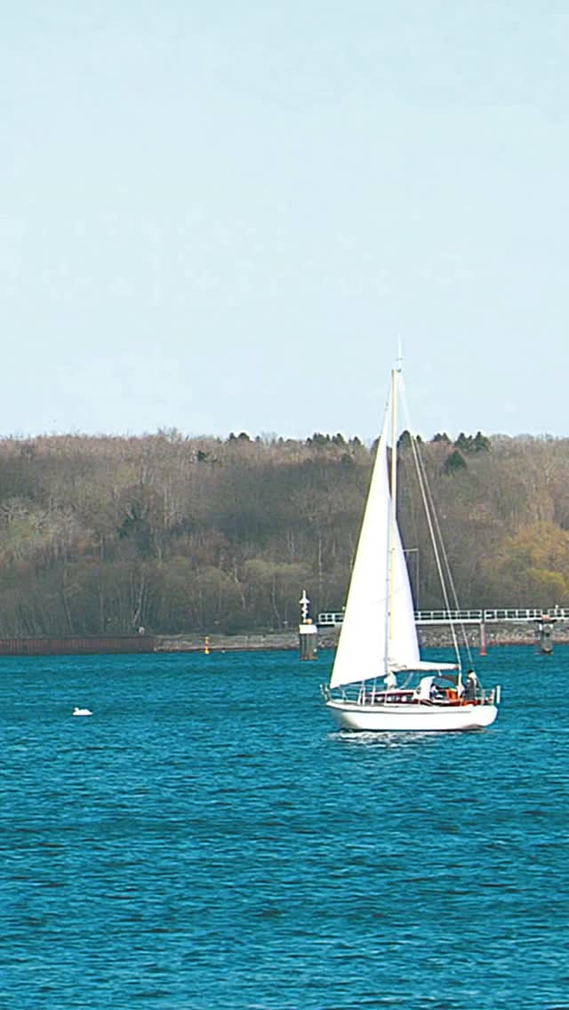 Instagram Video Thumbnail 5